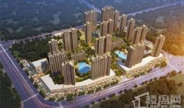 天琴湾最新消息爆料新闻,神秘事件引发热议，真相即将揭晓