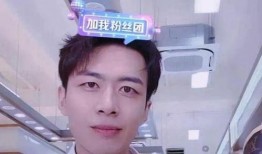 网红诸葛爆料视频大全最新,揭秘热门视频背后的秘密与真相