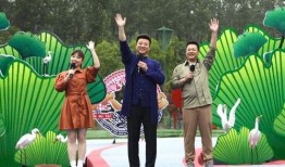 二民说事爆料视频大全最新,最新爆料视频大全深度解析